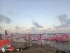 -碧海金沙