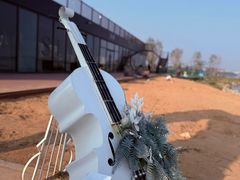 -天津东丽湖风景区