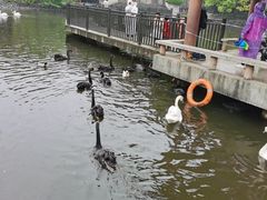 -合肥野生动物园