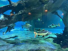 -华夏文旅西安度假区