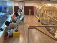 -酷游亲子游泳中心