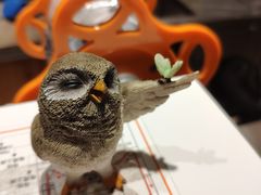 -幸福侯彩擂·奶茶