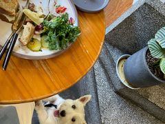 -O'mills Sourdough Bakery&Bistro(永嘉路店)