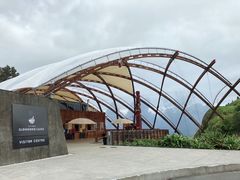 -怀托摩萤火虫洞