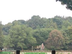 -潜山国家森林公园