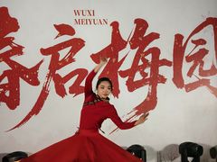 -无锡梅园公园