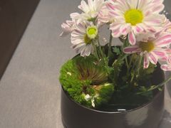 -海立阁海鲜江浙菜(漕河泾印象城店)
