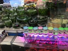 -天丰利生活MALL(和平里店)
