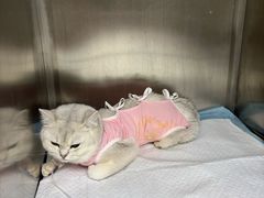 -达爱动物医院·犬猫分区·CT·复杂眼科(远洋山水分院)