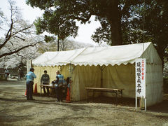-井之头恩赐公园