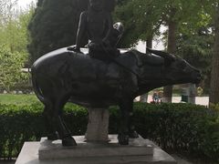 -赵州桥景区
