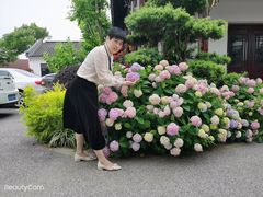 -鹅湖玫瑰文化园