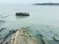 -上海市保健医疗中心