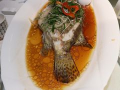 -广东道至正餐厅(区庄店)