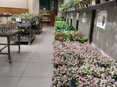 -鹿岛会员店 (龙湖三千集天街店)