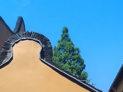 -龙华素斋(龙华路店)