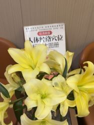 -升艾堂亚健康调理中心