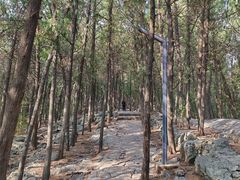 -云龙山
