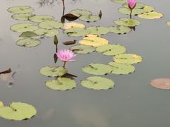 -南通洲际绿博园