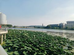 -武汉大学中南医院(总院区)