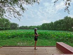 -东郊湿地公园