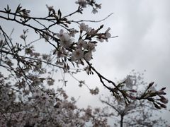 -东湖磨山景区