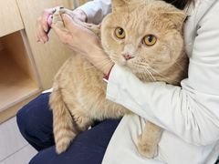 -美联众合动物医院·24h京西诊疗中心