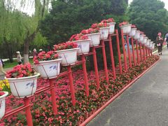 -北陵公园