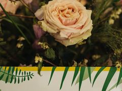 -双风车咖啡馆 Twin Windmills(六道口店)