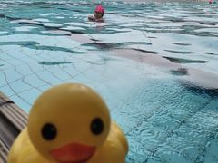 -昌平体育局室外游泳馆