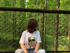 -黄海国家森林公园