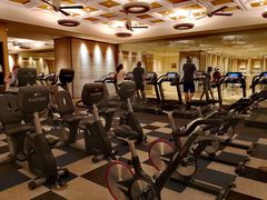 -拉斯维加斯永利酒店