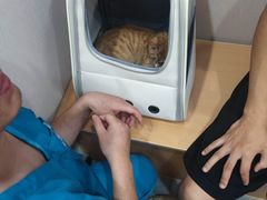 -安安宠医·臻爱宠物医院·宠保定点(营门口路分院)