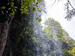-龙苍沟森林公园