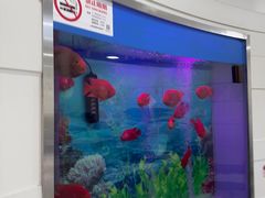 -雅悦齿科(顾村公园店)