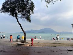 -城墙外BAR