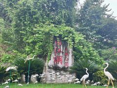 -广州白江湖森林公园