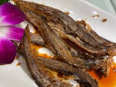 上海烤仔鱼-金时代顺风大酒店(协泰店)