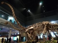 -自贡恐龙博物馆