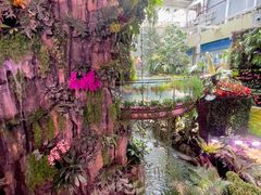 -正佳雨林生态植物园