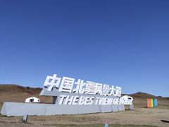 -乌兰布统景区-白桦林