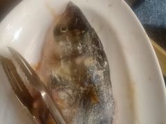 -蜀滋香鲜鱼美蛙火锅(339店)