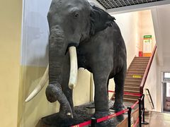 -国家自然博物馆