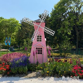 共青森林公园 无滤镜实拍