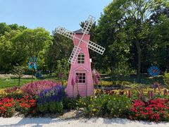 -上海共青森林公园