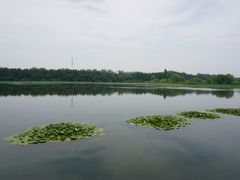 -溱湖国家湿地公园