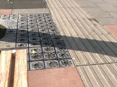 -全家福米线