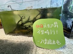 -中国湿地博物馆