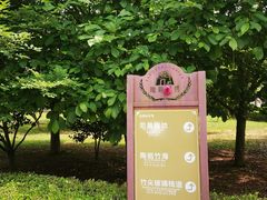-陶祖圣境风景区