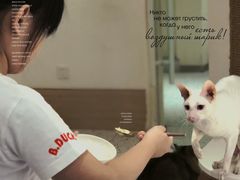 -猫域·湾主题猫咖·宠物吧(南坪城市广场店)